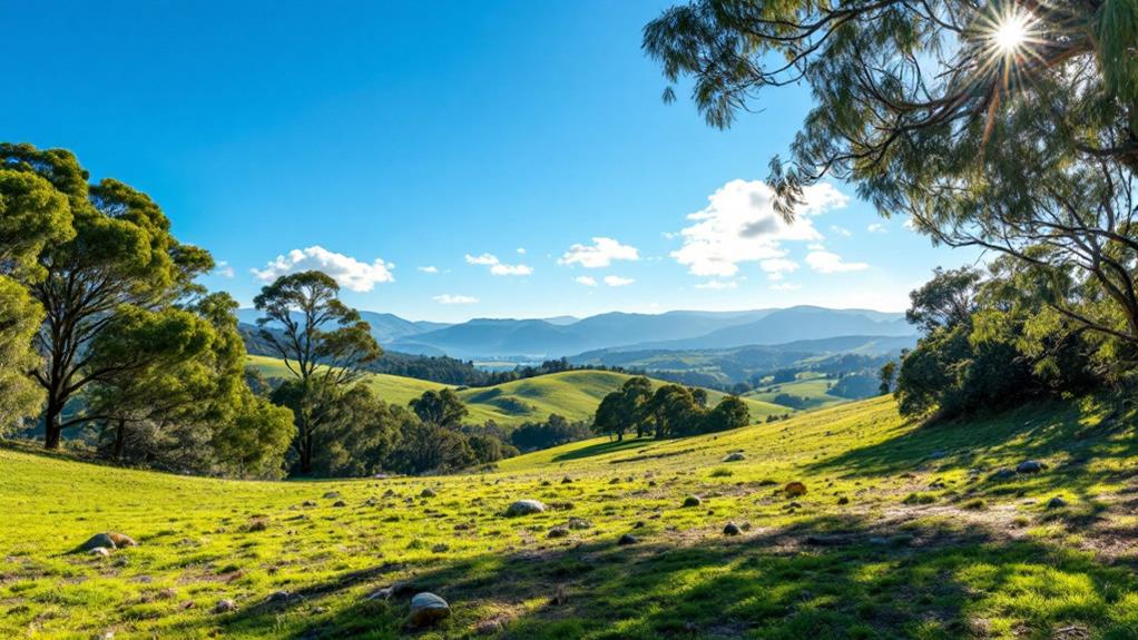 tasmania s refreshing summer climate