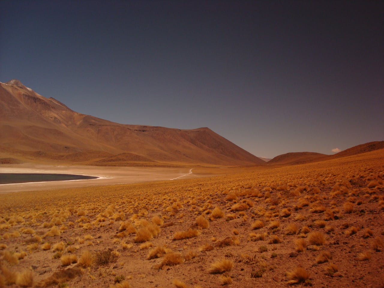 Great Sandy Desert