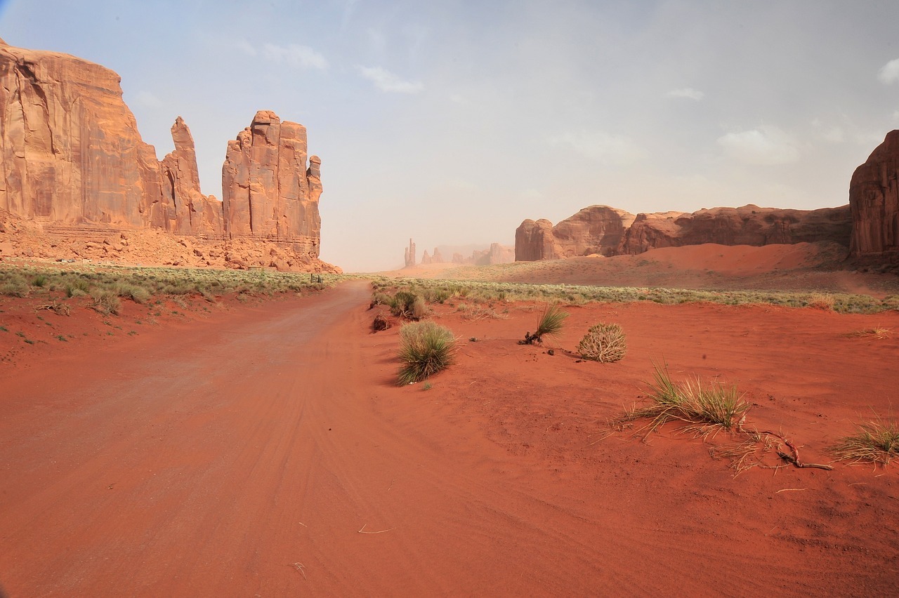 Tirari-Desert