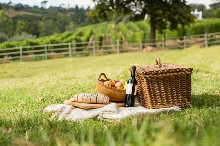 picnic-at-park