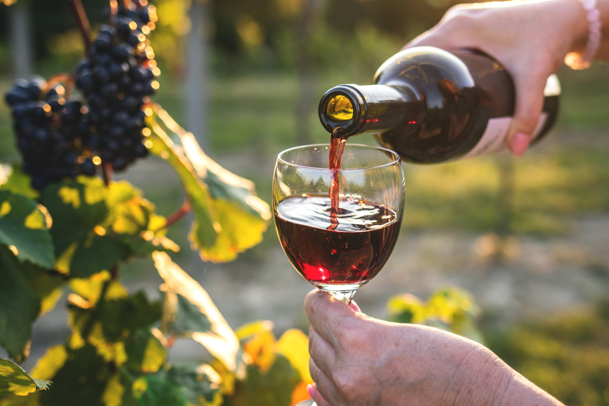 woman-pouring-red-wine-at-vineyard