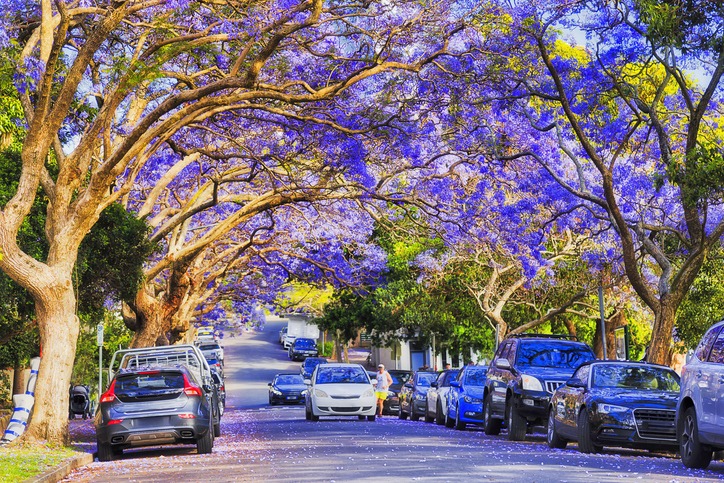 Defining Spring in Australia